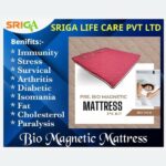SRIGA Pre BioMagnetic Mattress (3×6 ft Kit)