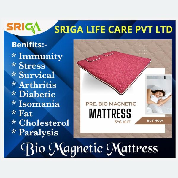 SRIGA Pre BioMagnetic Mattress (3×6 ft Kit)